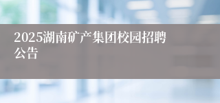 2025湖南矿产集团校园招聘公告