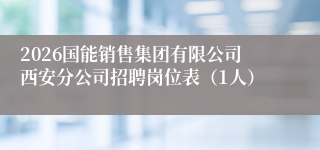 2026国能销售集团有限公司西安分公司招聘岗位表（1人）