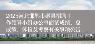 2025河北邯郸市磁县招聘工作领导小组办公室面试成绩、总成绩、体检及考察有关事项公告