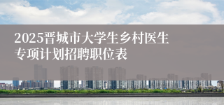 2025晋城市大学生乡村医生专项计划招聘职位表