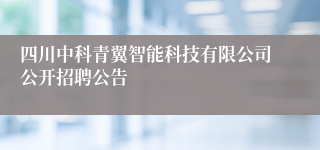 四川中科青翼智能科技有限公司公开招聘公告