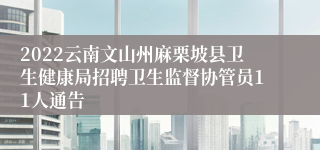 2022云南文山州麻栗坡县卫生健康局招聘卫生监督协管员11人通告