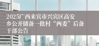 2025广西来宾市兴宾区高安乡公开储备一批村“两委”后备干部公告