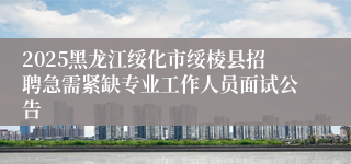 2025黑龙江绥化市绥棱县招聘急需紧缺专业工作人员面试公告