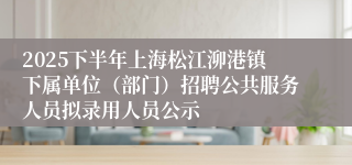 2025下半年上海松江泖港镇下属单位（部门）招聘公共服务人员拟录用人员公示
