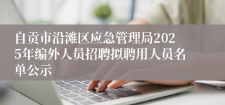 自贡市沿滩区应急管理局2025年编外人员招聘拟聘用人员名单公示