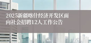 2025新疆喀什经济开发区面向社会招聘12人工作公告