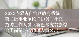 2025内蒙古自治区政府系统第二批事业单位“1+N”补充招聘工作人员（新巴尔虎右旗综合类岗位）拟聘用人员公示
