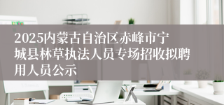 2025内蒙古自治区赤峰市宁城县林草执法人员专场招收拟聘用人员公示