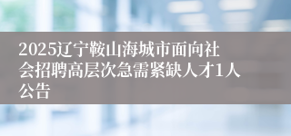 2025辽宁鞍山海城市面向社会招聘高层次急需紧缺人才1人公告