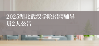 2025湖北武汉学院招聘辅导员2人公告