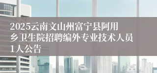 2025云南文山州富宁县阿用乡卫生院招聘编外专业技术人员1人公告