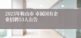 2025年鞍山市 市属国有企业招聘53人公告
