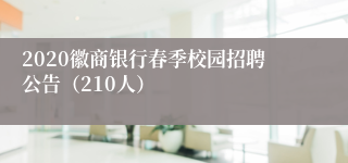 2020徽商银行春季校园招聘公告（210人）