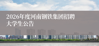 2026年度河南钢铁集团招聘大学生公告