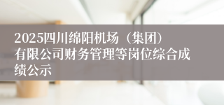 2025四川绵阳机场（集团）有限公司财务管理等岗位综合成绩公示