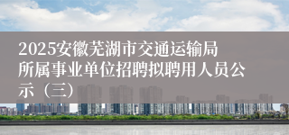 2025安徽芜湖市交通运输局所属事业单位招聘拟聘用人员公示（三）