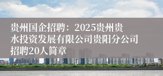 贵州国企招聘：2025贵州贵水投资发展有限公司贵阳分公司招聘20人简章