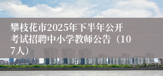 攀枝花市2025年下半年公开考试招聘中小学教师公告(107人)