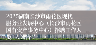 2025湖南长沙市雨花区现代服务业发展中心（长沙市雨花区国有资产事务中心）招聘工作人员1人公告