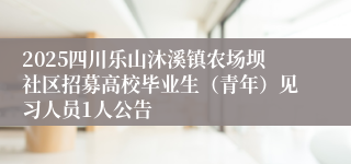 2025四川乐山沐溪镇农场坝社区招募高校毕业生（青年）见习人员1人公告
