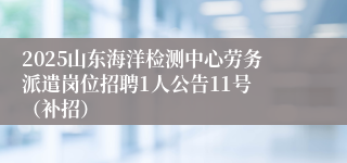 2025山东海洋检测中心劳务派遣岗位招聘1人公告11号 （补招）