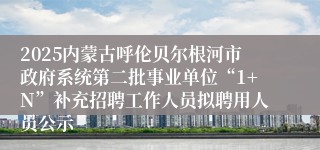2025内蒙古呼伦贝尔根河市政府系统第二批事业单位“1+N”补充招聘工作人员拟聘用人员公示