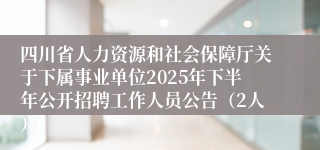 四川省人力资源和社会保障厅关于下属事业单位2025年下半年公开招聘工作人员公告（2人）