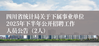 四川省统计局关于下属事业单位2025年下半年公开招聘工作人员公告（2人）