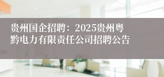 贵州国企招聘：2025贵州粤黔电力有限责任公司招聘公告