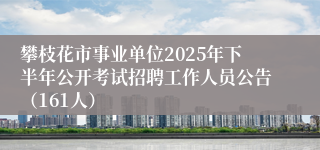 攀枝花市事业单位2025年下半年公开考试招聘工作人员公告（161人）
