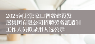 2025河北张家口智数建设发展集团有限公司招聘劳务派遣制工作人员拟录用人选公示