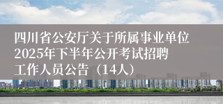 四川省公安厅关于所属事业单位2025年下半年公开考试招聘工作人员公告（14人）
