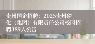 贵州国企招聘：2025贵州磷化（集团）有限责任公司校园招聘389人公告
