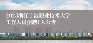 2025浙江宁波职业技术大学工作人员招聘1人公告