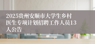 2025贵州安顺市大学生乡村医生专项计划招聘工作人员13人公告
