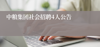 中粮集团社会招聘4人公告