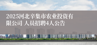 2025河北辛集市农业投资有限公司 人员招聘4人公告