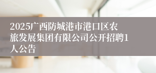 2025广西防城港市港口区农旅发展集团有限公司公开招聘1人公告