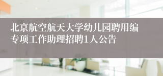 北京航空航天大学幼儿园聘用编专项工作助理招聘1人公告