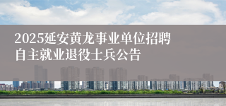 2025延安黄龙事业单位招聘自主就业退役士兵公告