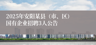 2025年安阳某县（市、区）国有企业招聘3人公告