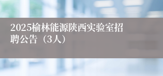 2025榆林能源陕西实验室招聘公告（3人）
