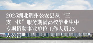 2025湖北荆州公安县从“三支一扶”服务期满高校毕业生中专项招聘事业单位工作人员13人公告