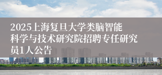 2025上海复旦大学类脑智能科学与技术研究院招聘专任研究员1人公告