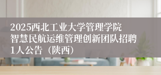 2025西北工业大学管理学院智慧民航运维管理创新团队招聘1人公告（陕西）