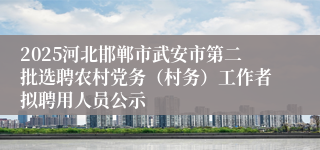 2025河北邯郸市武安市第二批选聘农村党务（村务）工作者拟聘用人员公示
