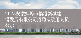 2025安徽蚌埠市临港新城建设发展有限公司招聘拟录用人员公示