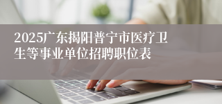 2025广东揭阳普宁市医疗卫生等事业单位招聘职位表