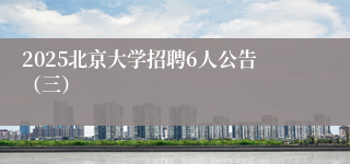 2025北京大学招聘6人公告（三）